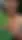 Plant Talk